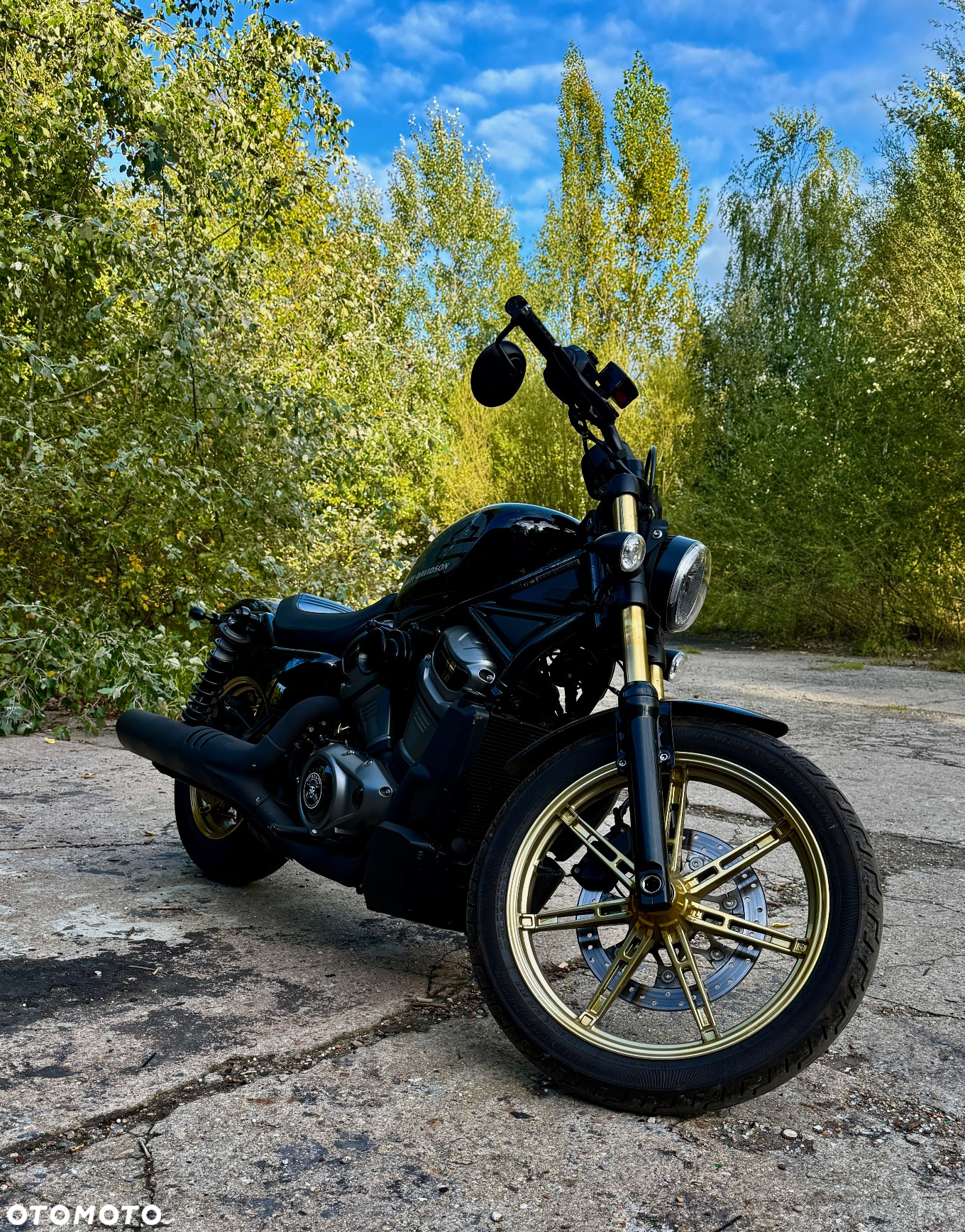 Harley-Davidson Sportster Nightster 975 - 12
