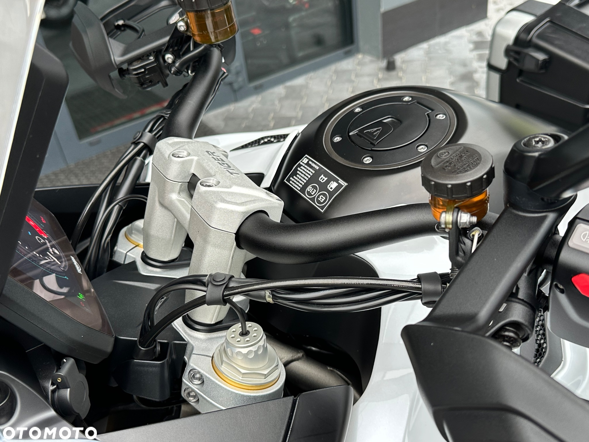 Triumph Tiger - 27