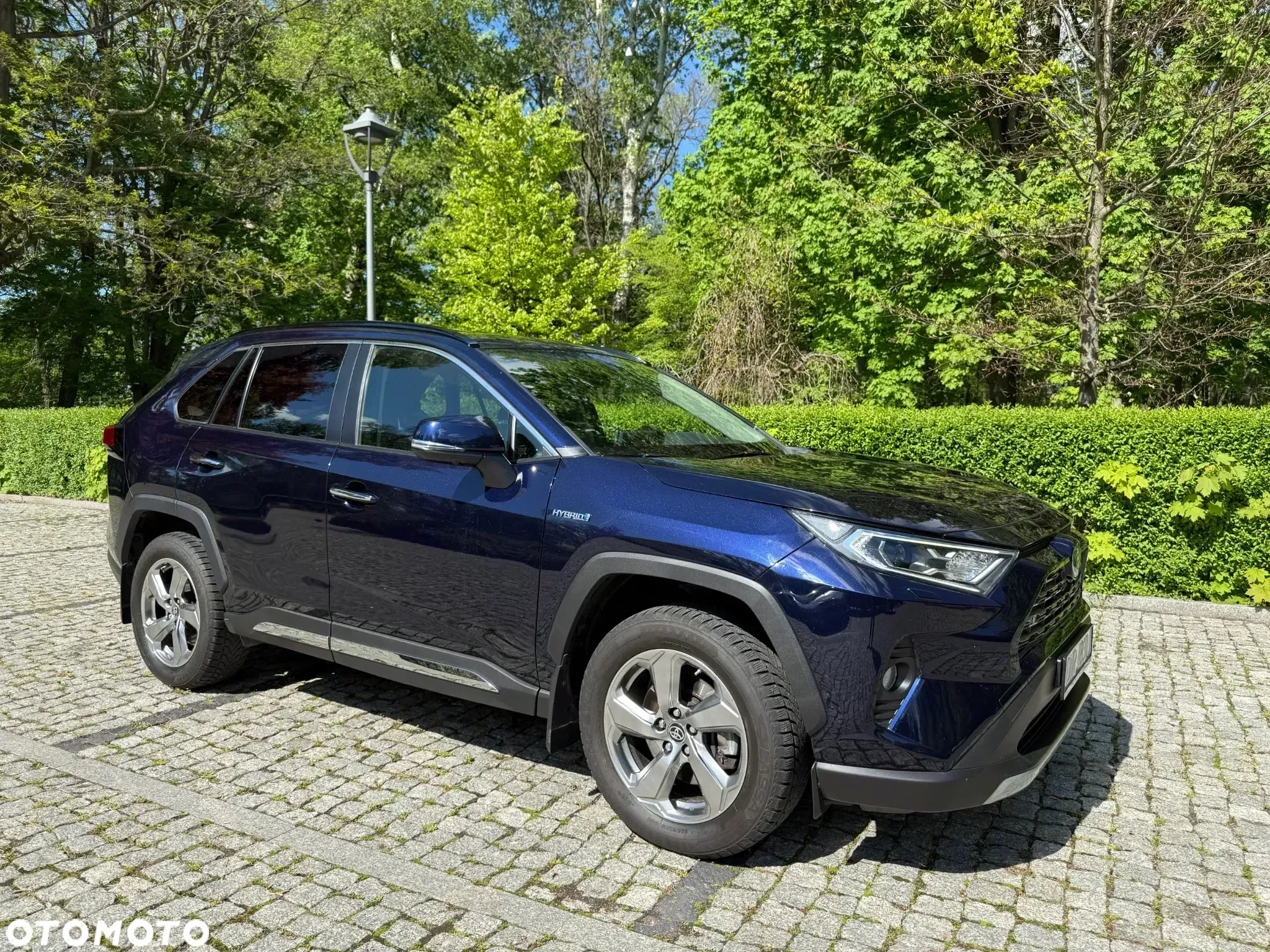 Toyota RAV4 2.5 Hybrid Executive 4x2 - 5