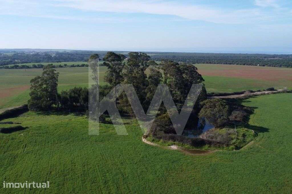 Herdade com 248Ha, nas proximidades de Porto Covo e com potencial inve - Grande imagem: 5/33