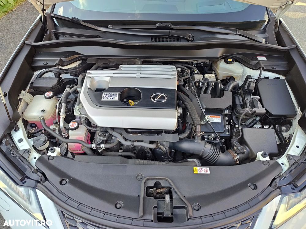 Lexus UX 250h (E-FOUR) F SPORT - 12