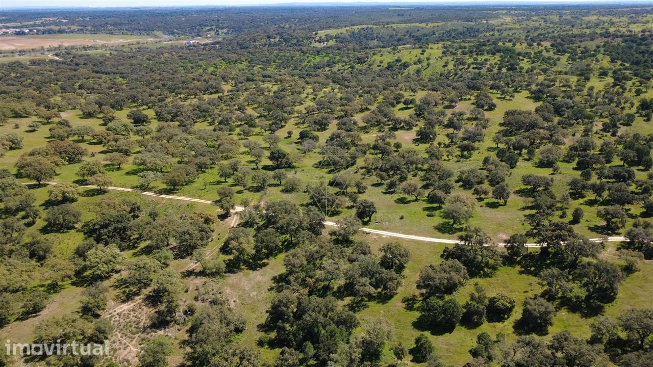 Herdade  Venda em Figueira dos Cavaleiros,Ferreira do Alentejo - Grande imagem: 5/19