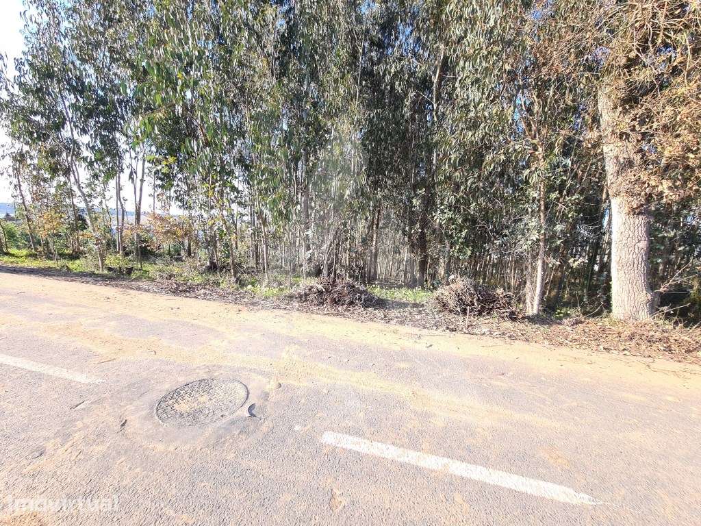 Terreno para construção de moradia - Grande imagem: 3/7
