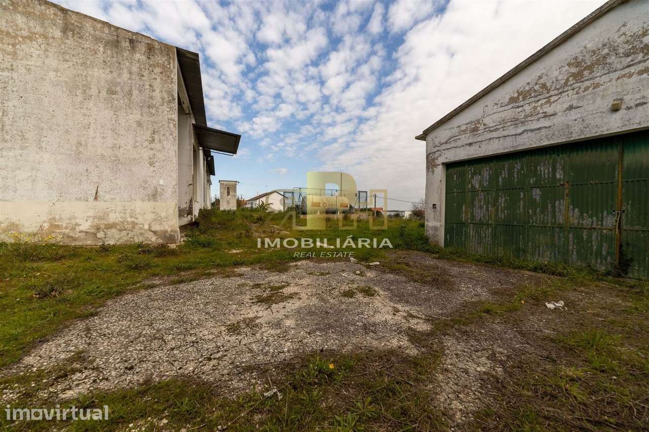 Armazém T6 Venda em Alcanhões,Santarém - Grande imagem: 5/38