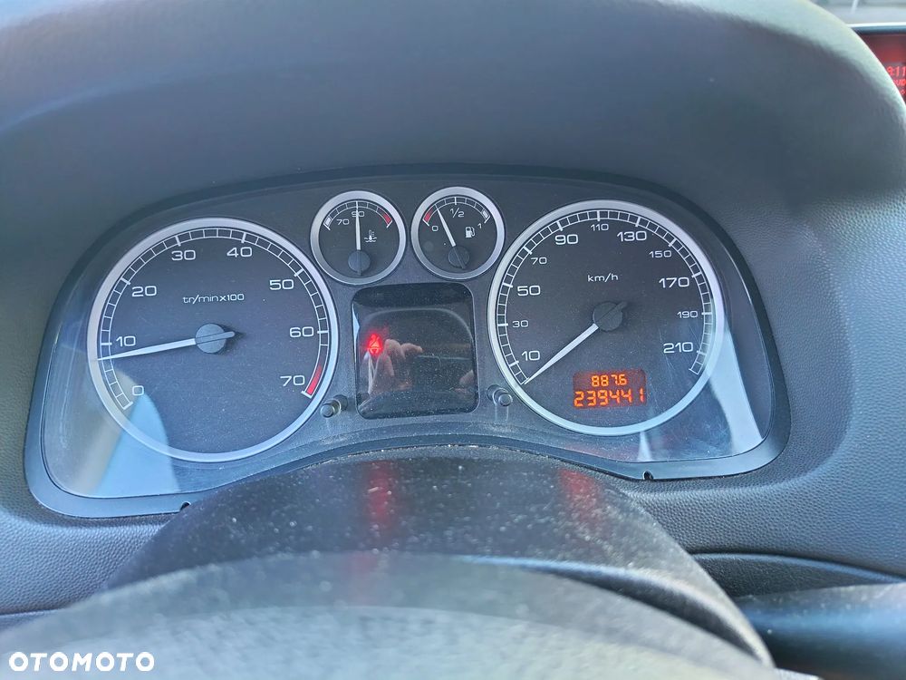 Peugeot 307 1.6 Mistral - 20