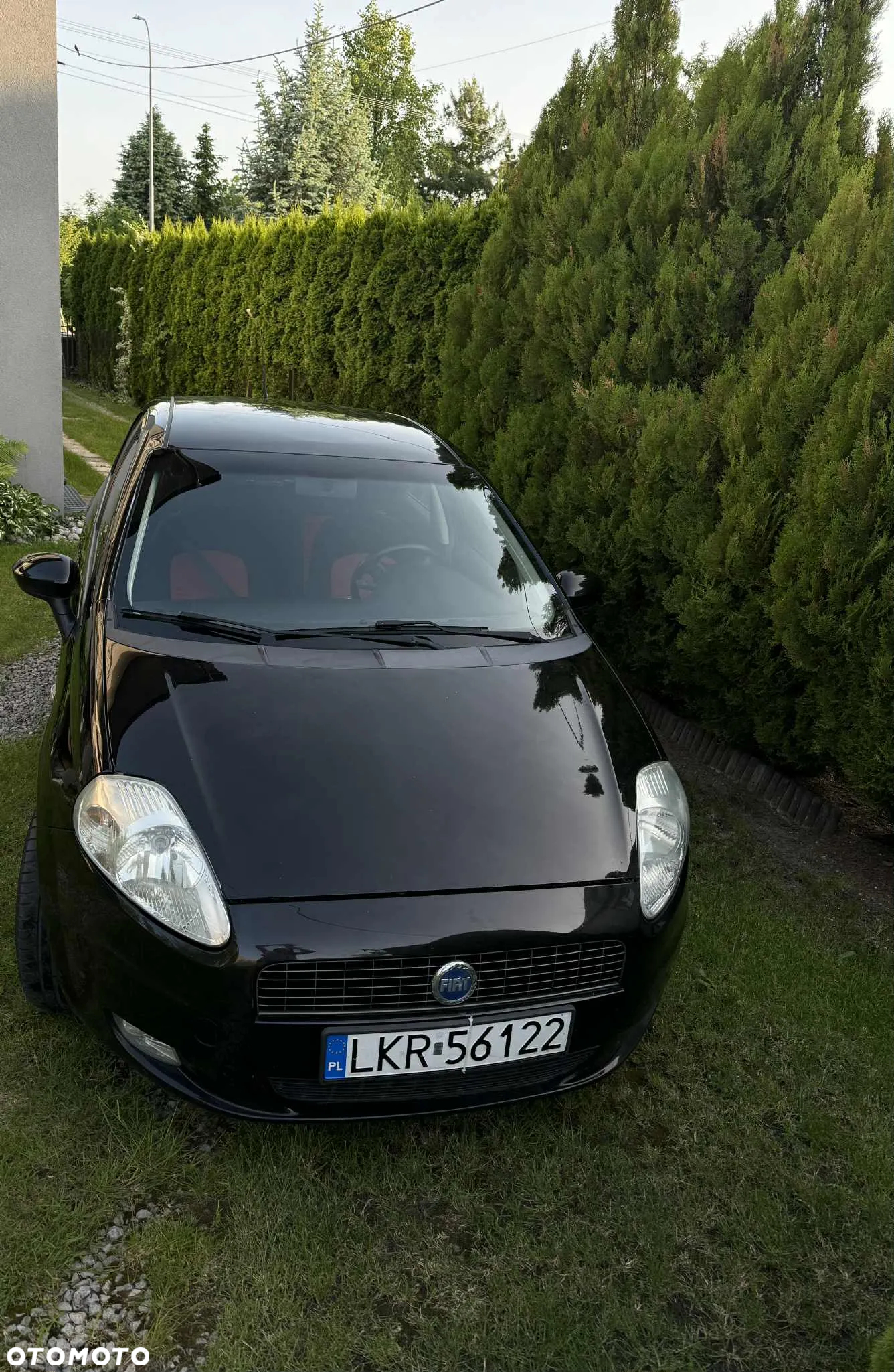 Fiat Punto - 2