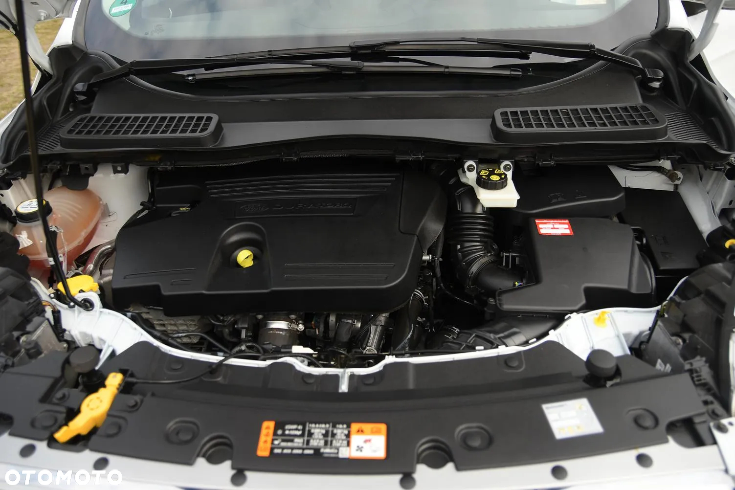 Ford Kuga 2.0 TDCi 4WD Titanium Plus - 34