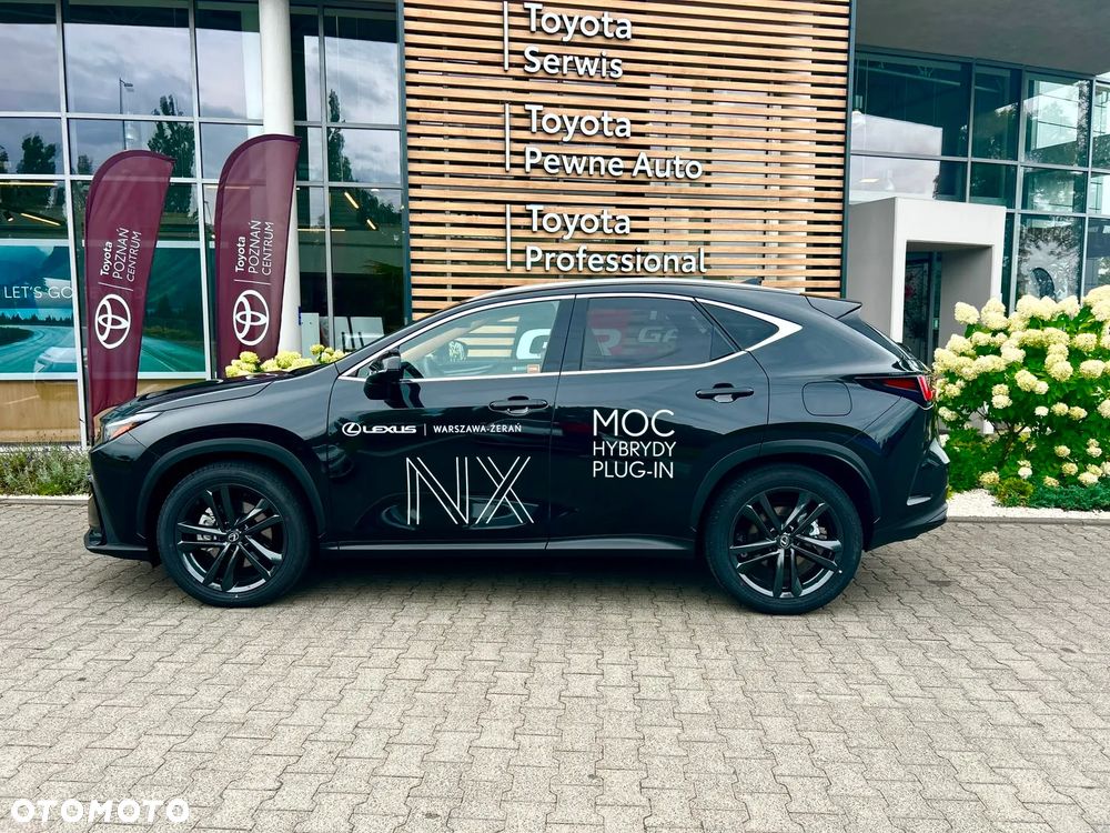 Lexus NX - 10