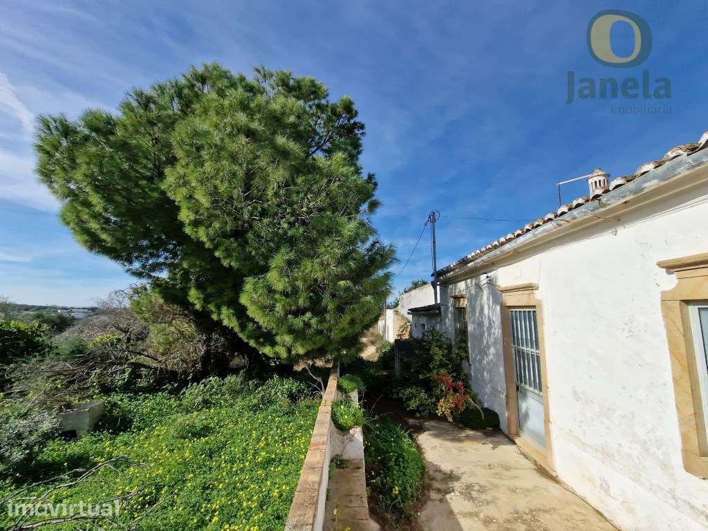 Quintinha com 4,5 ha, habitação, vista mar e bons acessos - Grande imagem: 2/12