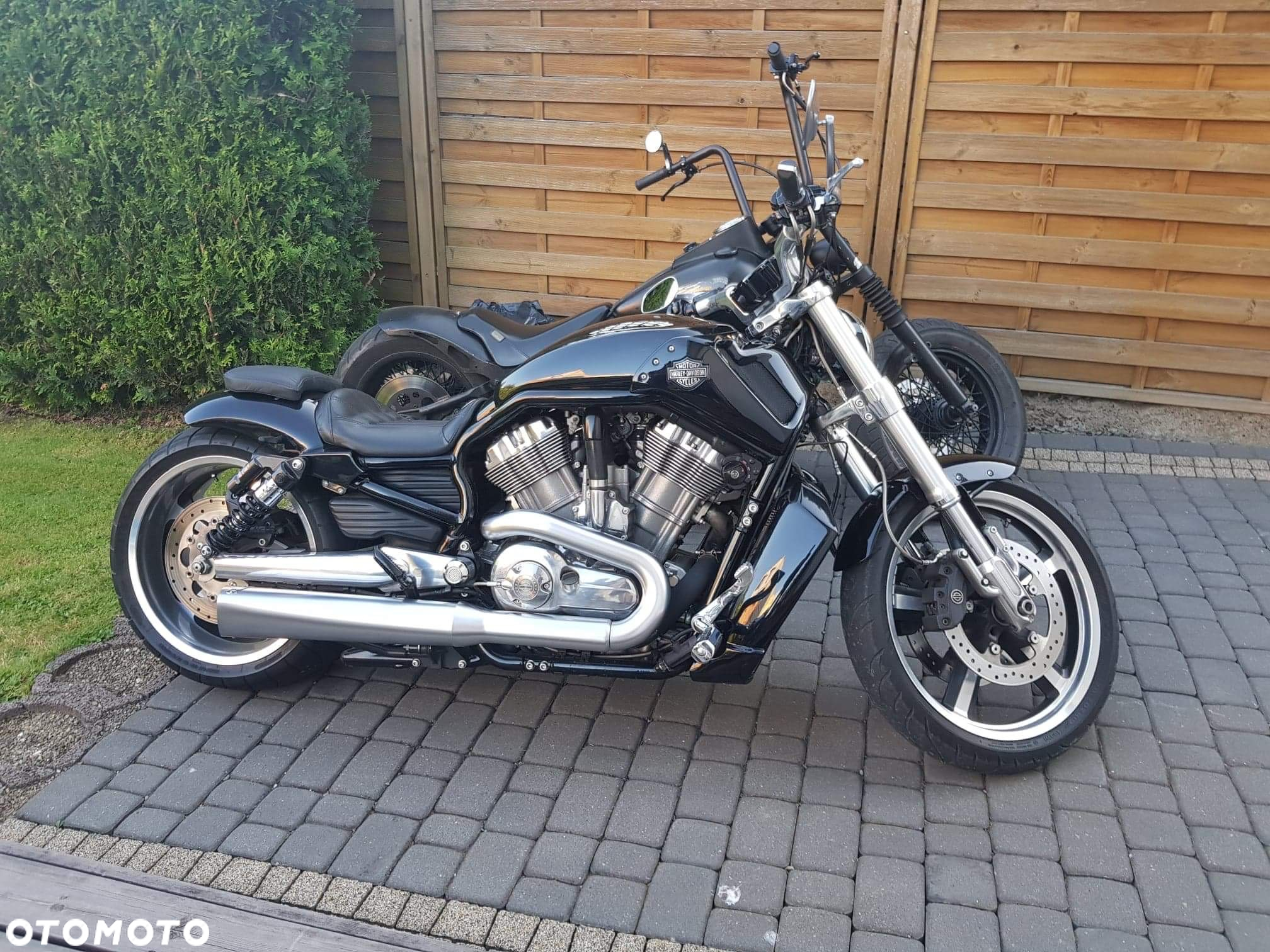 Harley-Davidson V-Rod Muscle - 2