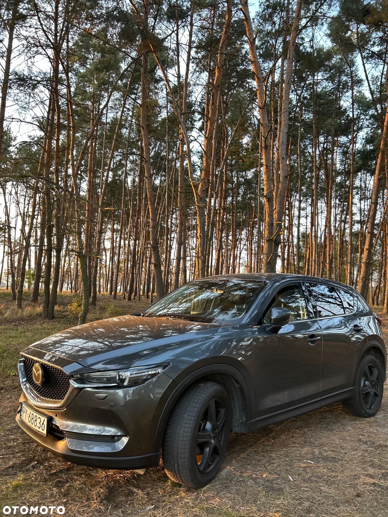 Mazda CX-5 2.2 D Skypassion AWD - 1