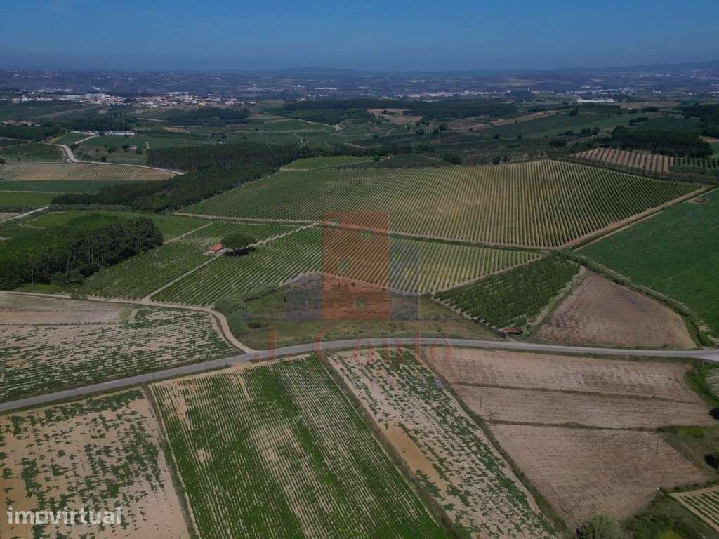 Terreno Rústico para Agricultura - Grande imagem: 3/9
