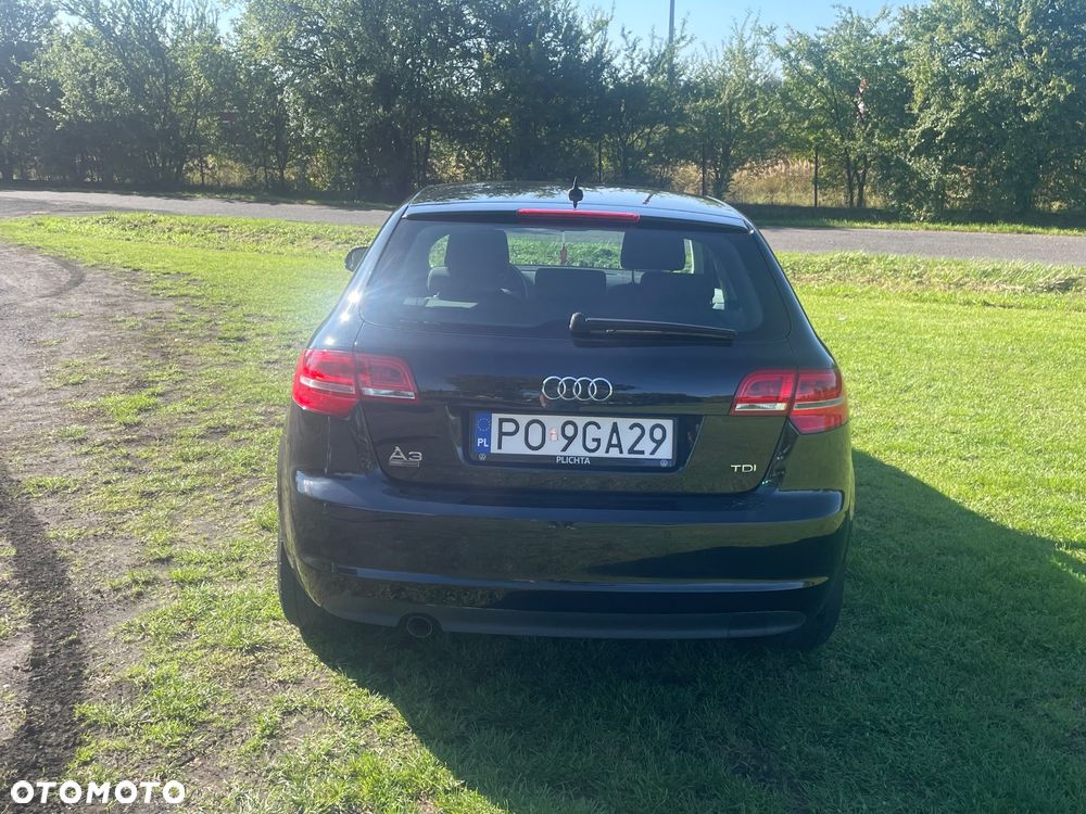 Audi A3 1.6 TDI DPF Ambiente - 6