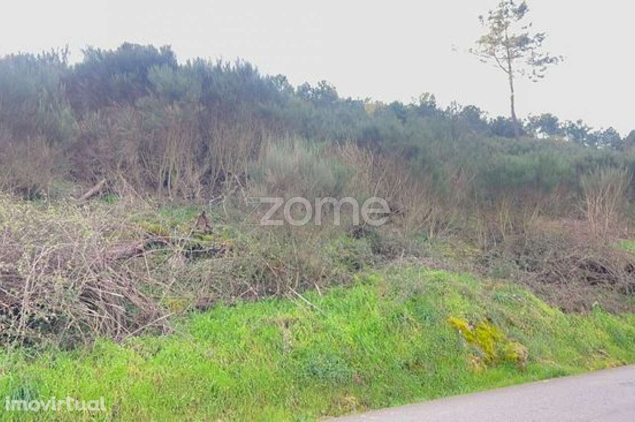 Terreno em Zona Florestal – Ideal para Cultivo ou Caravana - Grande imagem: 3/9