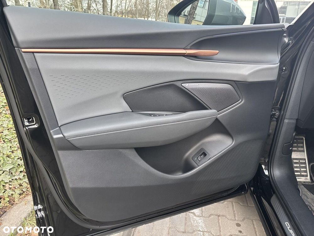 Cupra Terramar - 11