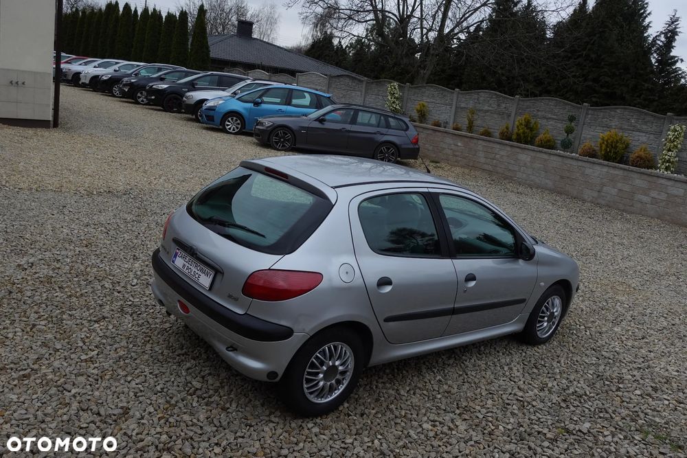 Peugeot 206 - 13