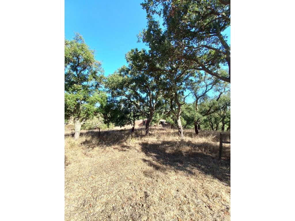 Terreno em são Francisco da Serra - Grande imagem: 4/8