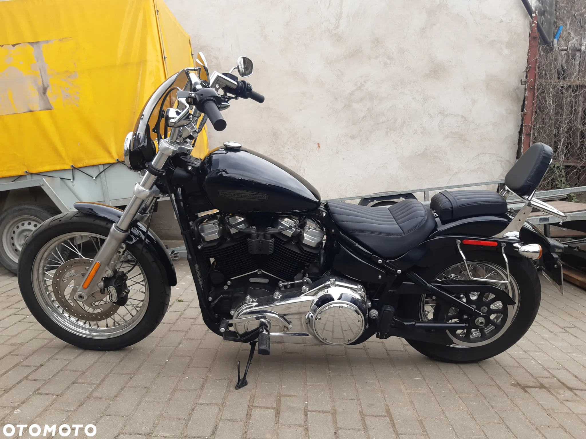 Harley-Davidson Softail Standard - 9