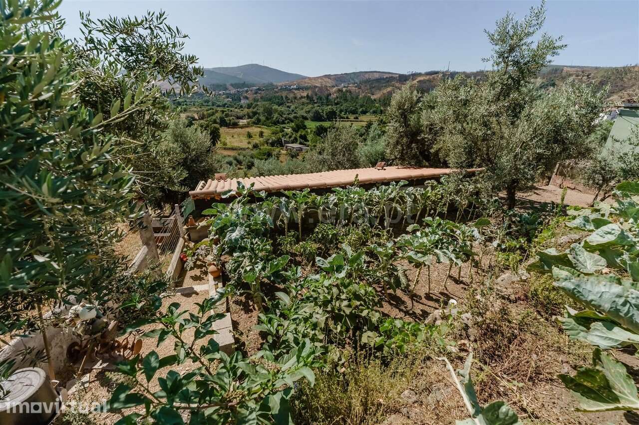 Moradia em Banda T2 / Covilhã, Ourondo - Grande imagem: 5/20