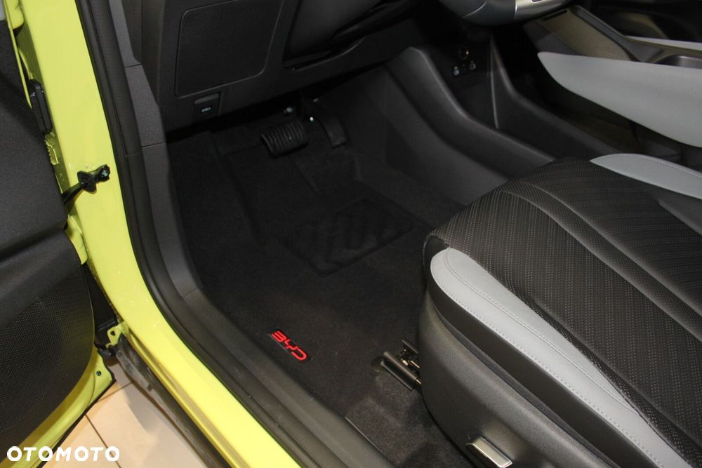 BYD Dolphin Surf - 30