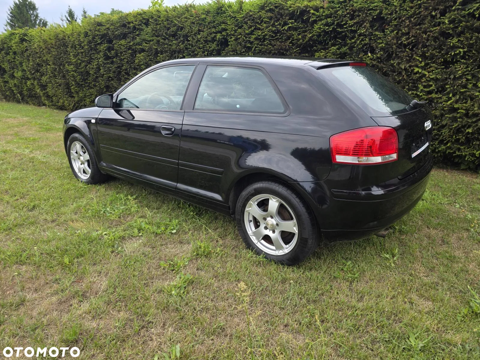 Audi A3 1.6 Limited Edition - 3