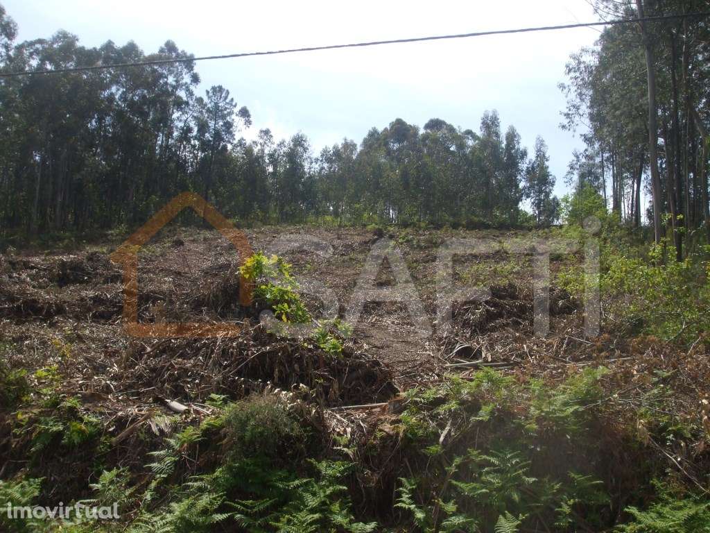 Terreno construtivo - Grande imagem: 3/13