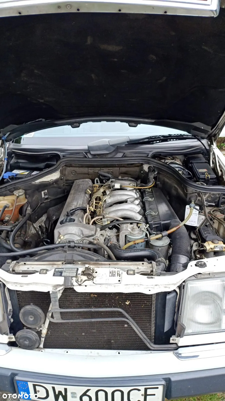 Mercedes-Benz W124 (1984-1993) - 9