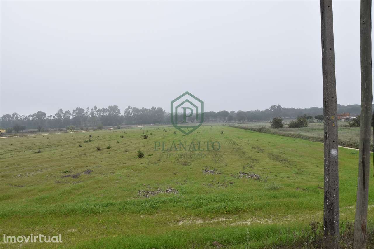 Terreno  Venda em Branca,Coruche - Grande imagem: 4/6