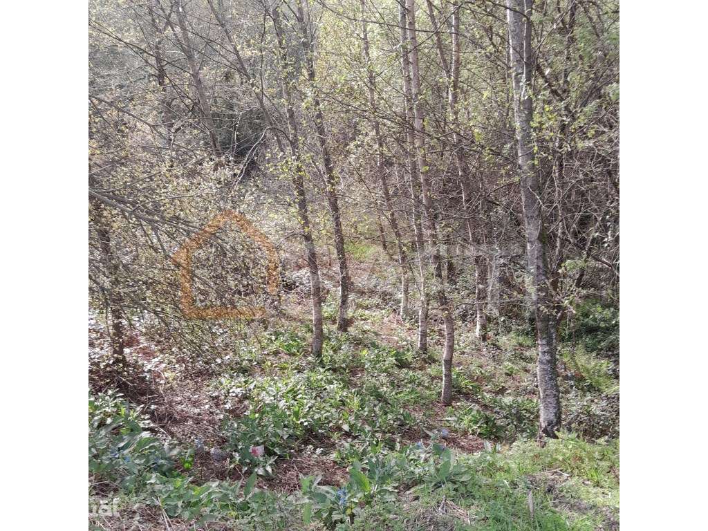 Terreno em local privilegiado - Grande imagem: 5/7