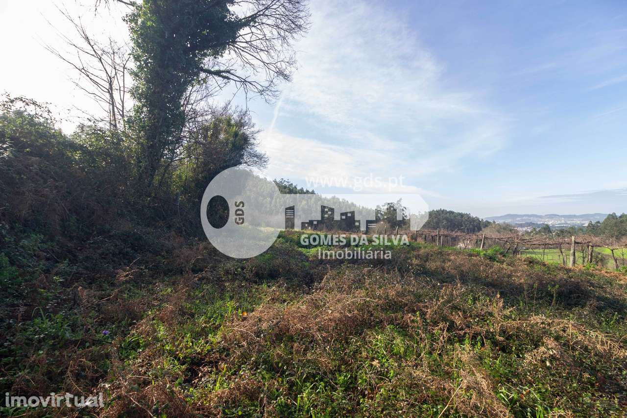 Terreno Agrícola em Vale São Martinho, Vila Nova de Famalicão - Grande imagem: 3/16
