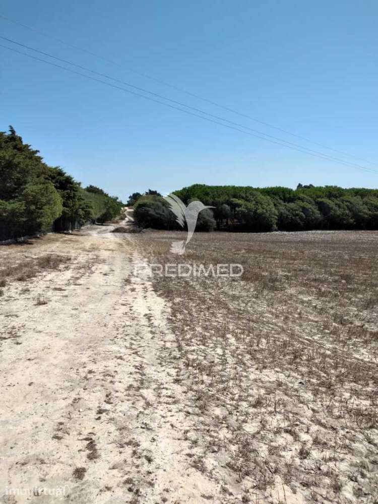 Quintinha com 7200 m2,Porto Côvo. - Grande imagem: 3/9