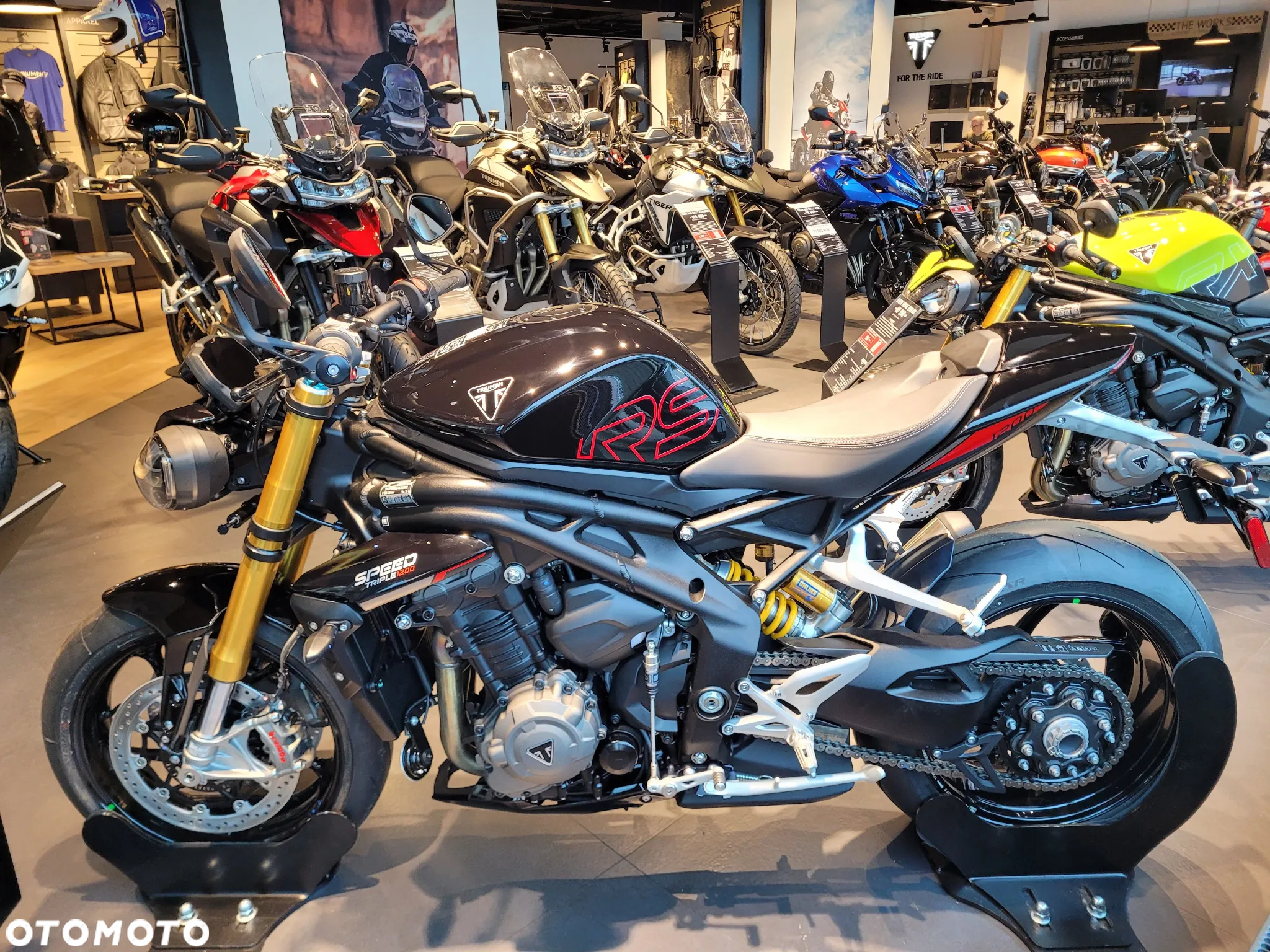 Triumph Speed Triple - 5