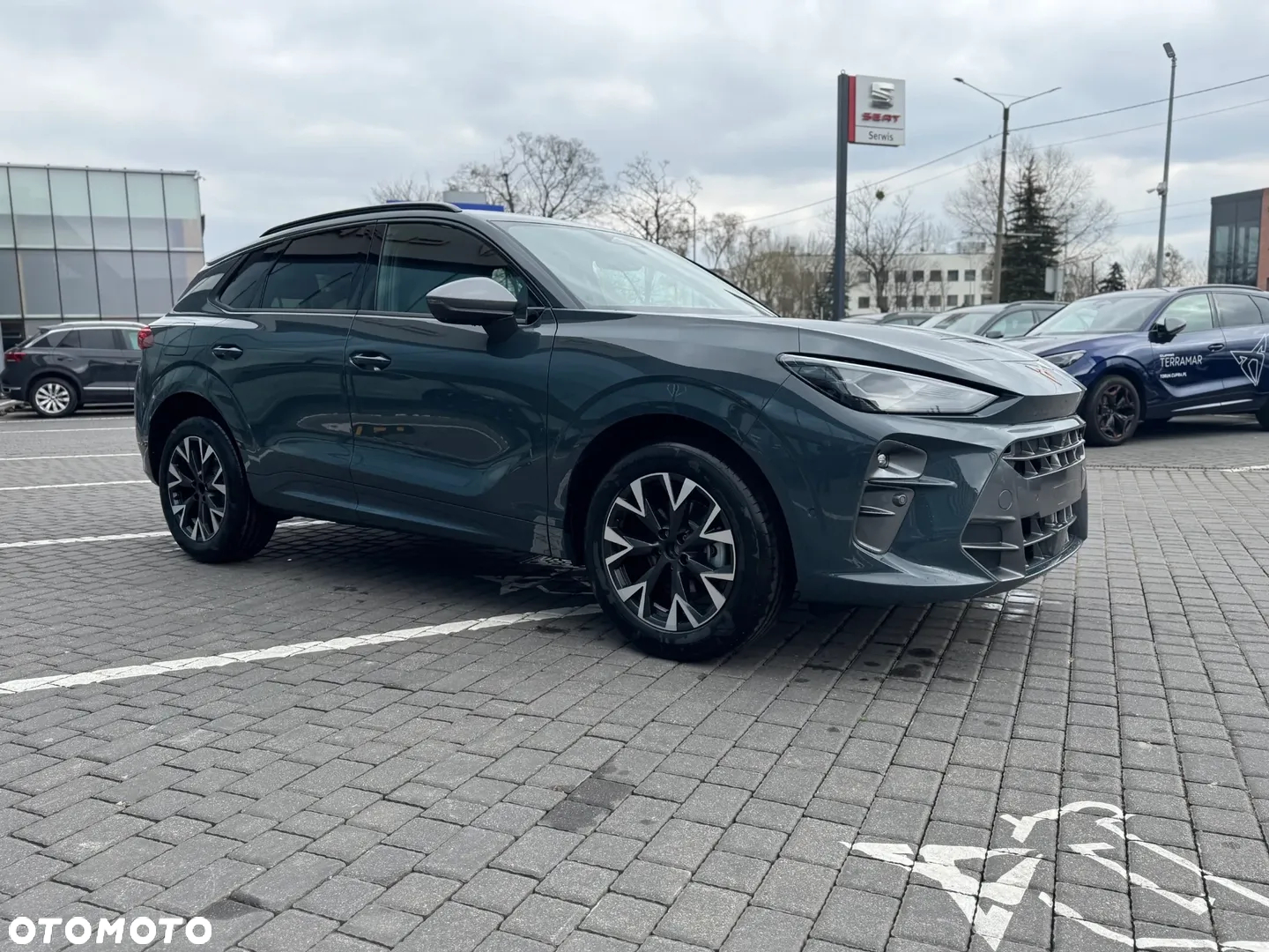 Cupra Terramar - 7
