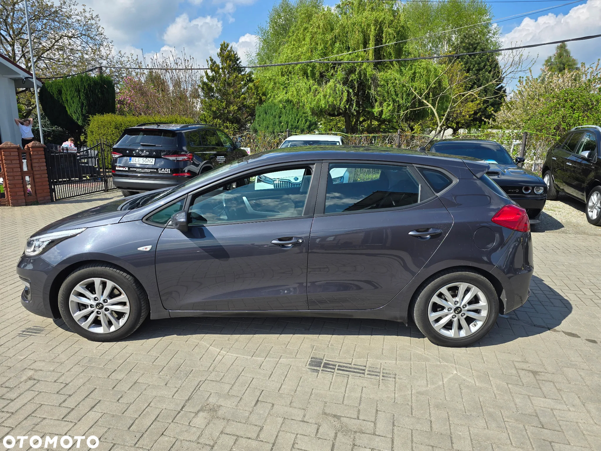 Kia Ceed - 3