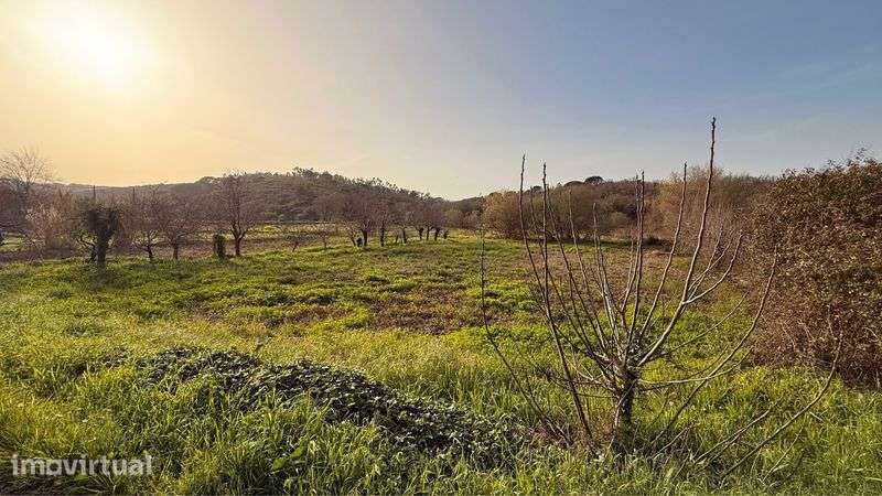 Terreno rustico em Brunhós Soure - Grande imagem: 3/4