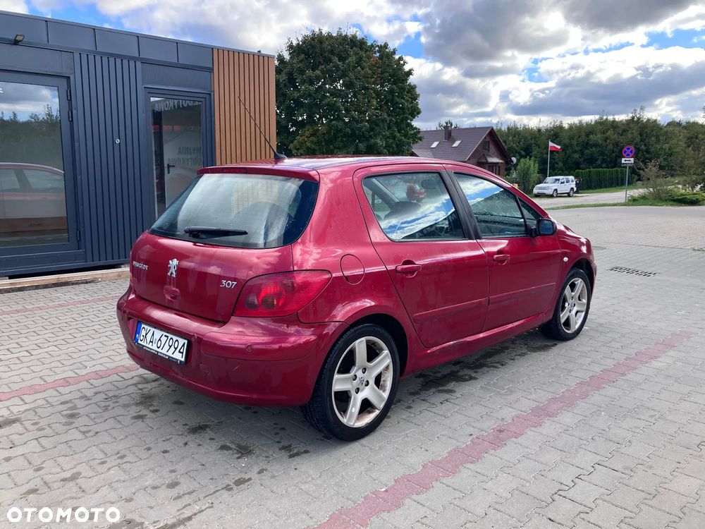 Peugeot 307 - 17