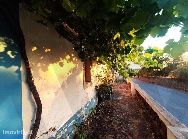 Projeto de Renovação Exclusivo: Ruína com Potencial em Monsaraz! - Grande imagem: 2/6