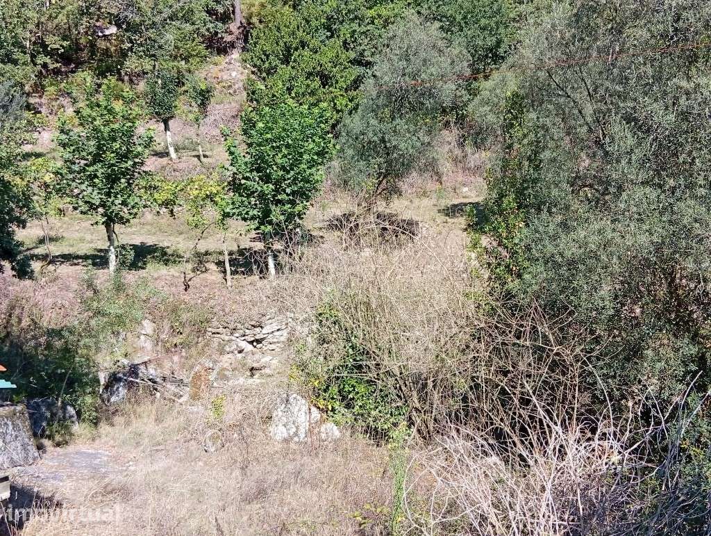 Terreno c/ Moinho - Seramil - Grande imagem: 2/10