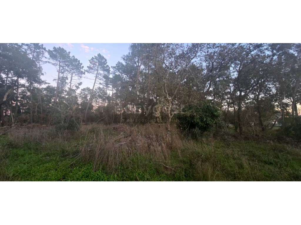 Terreno localizado em Souto da Carpalhosa - Grande imagem: 5/7
