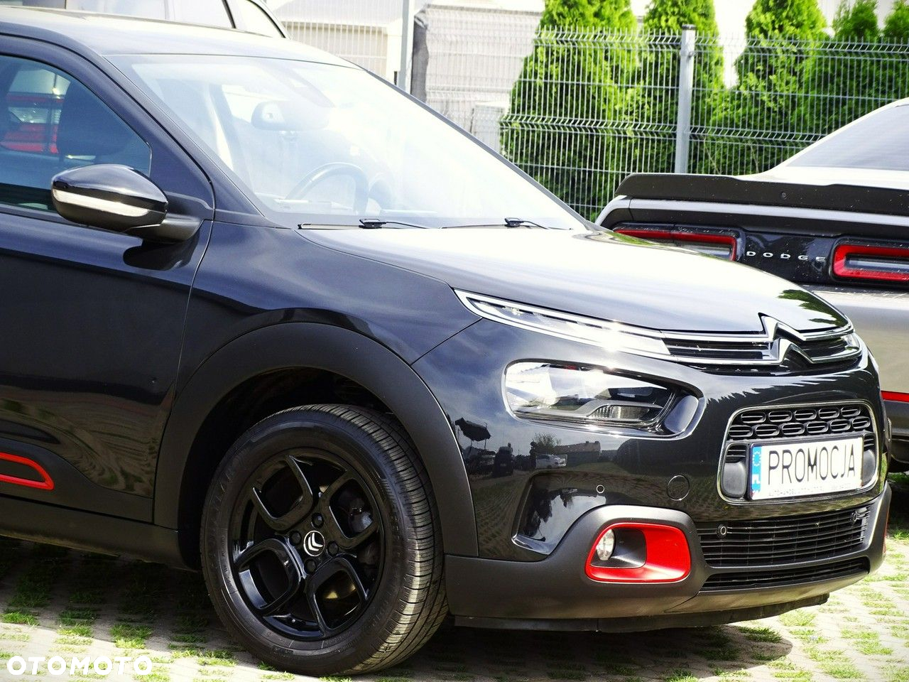 Citroën C4 Cactus - 6