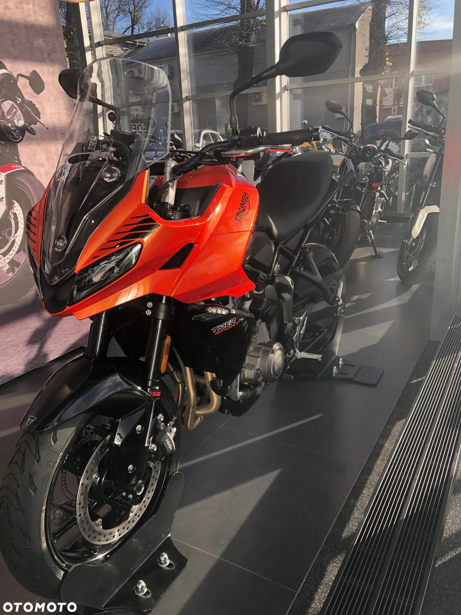 Triumph Tiger - 3