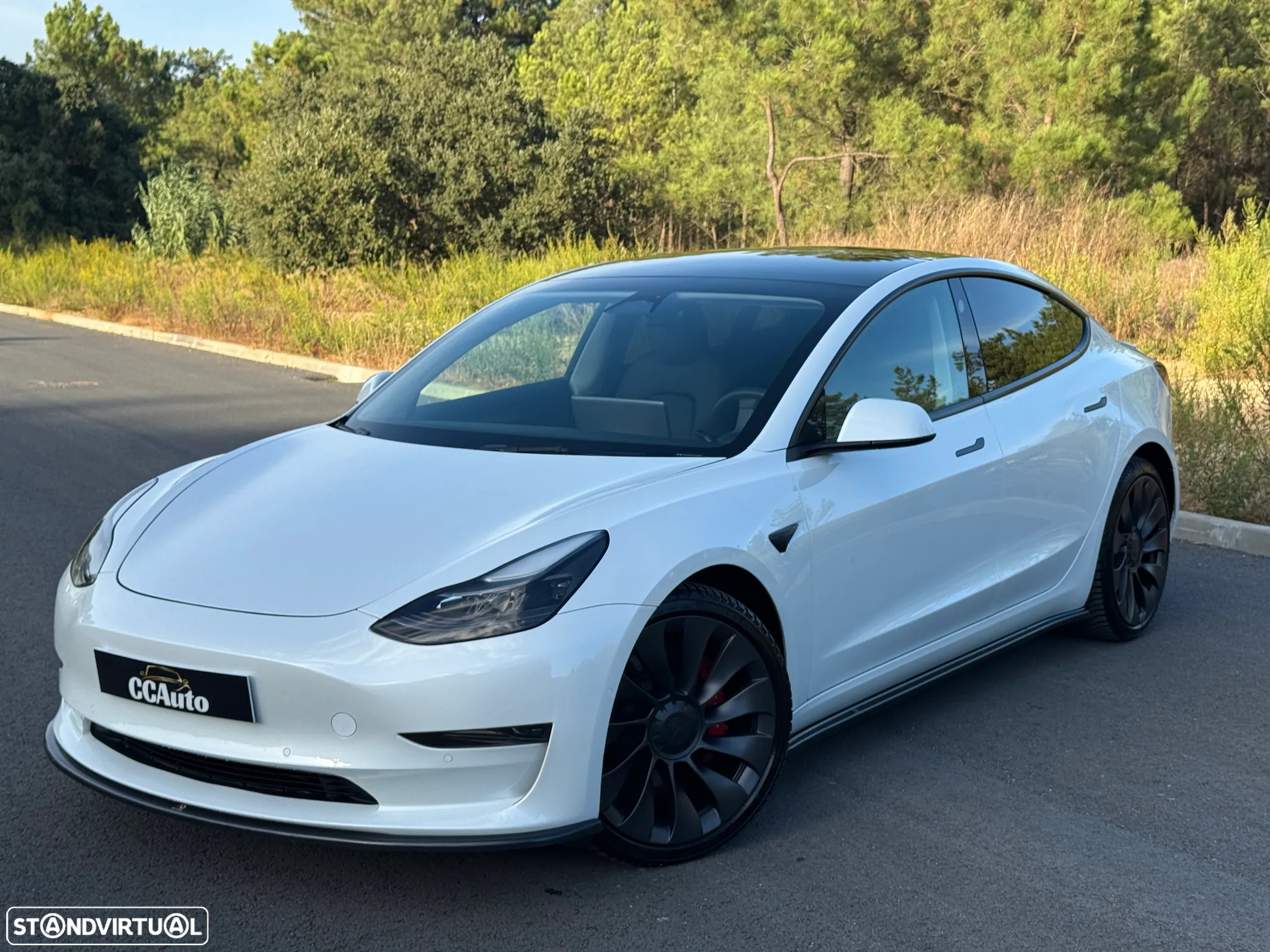 Tesla Model 3 Performance Tração Integral - 3