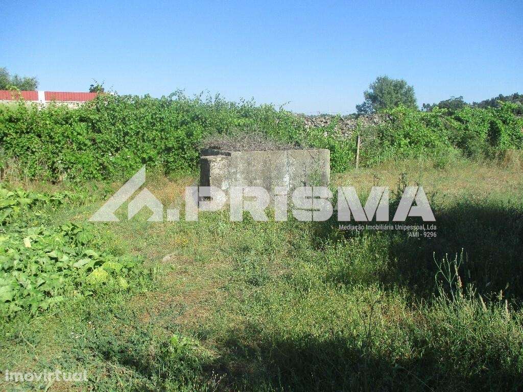 Terreno Rústico para venda em Alcains, Castelo Branco - Grande imagem: 3/7