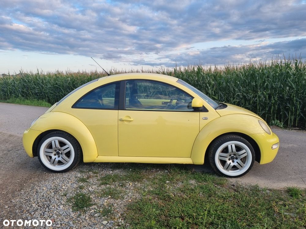 Volkswagen Beetle - 8