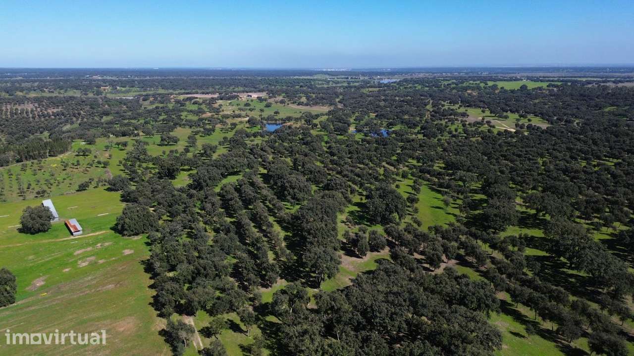 Terreno Rústico com 1,8 ha junto à Barragem de Fonte de Serne - Grande imagem: 2/13