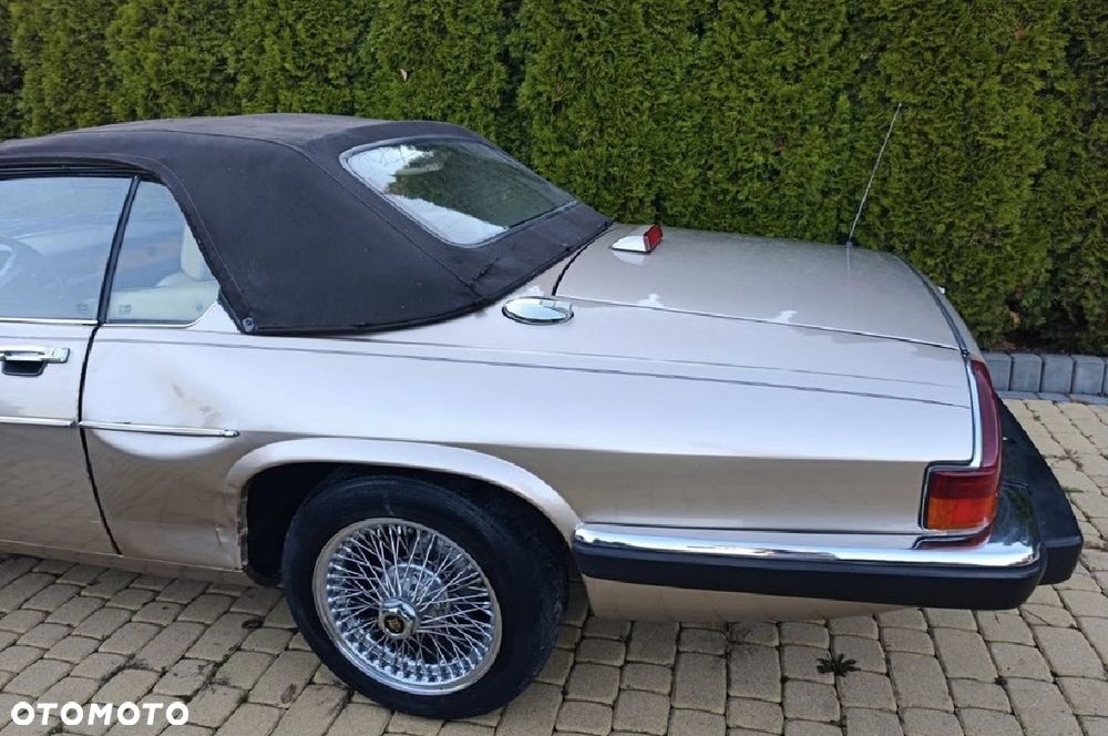 Jaguar XJS - 15