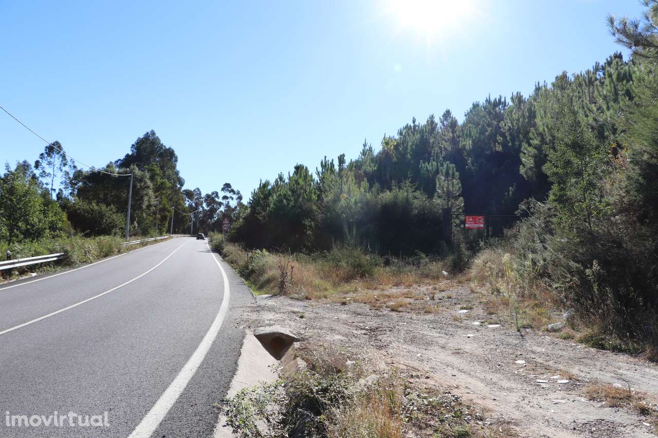 Terreno  Venda em Lustosa e Barrosas (Santo Estêvão),Lousada - Grande imagem: 2/4