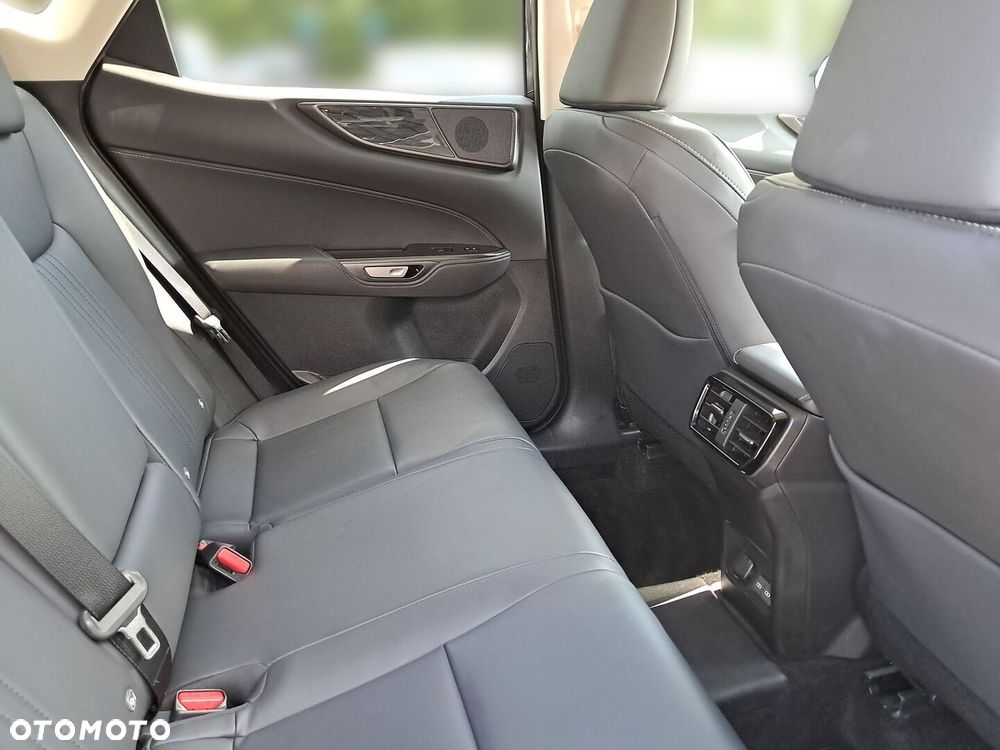 Lexus NX - 10