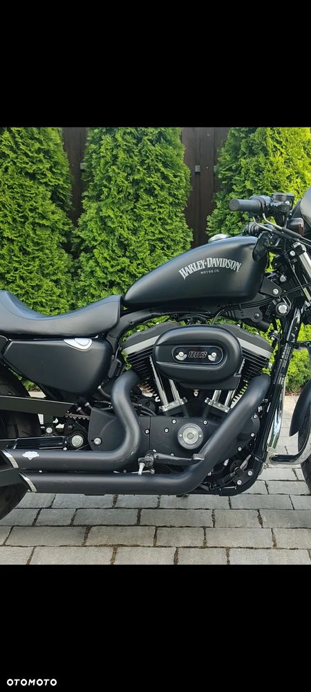 Harley-Davidson Sportster Iron 883 - 10