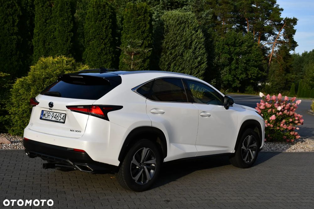 Lexus NX 300 AWD Executive Line - 6